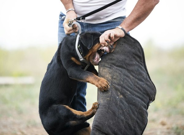 Serrurier à nantes : service d'urgence 24/7 garantis